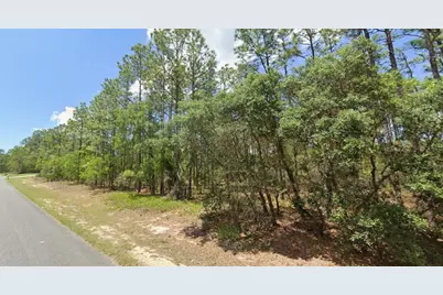 3704 W Lappula Lane, Citrus Springs, FL 34433 - Photo 1