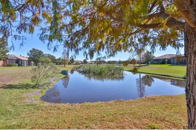 250 Silver Falls Drive, Apollo Beach, FL 33572 - Photo 40