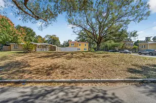 206 E Frierson Ave, Tampa, FL 33603 - Photo 58