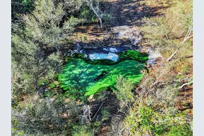 15024 Carlton Lake Road, Wimauma, FL 33598 - Photo 6