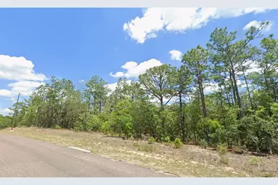 9313 N Hawkweed Drive, Citrus Springs, FL 34433 - Photo 2