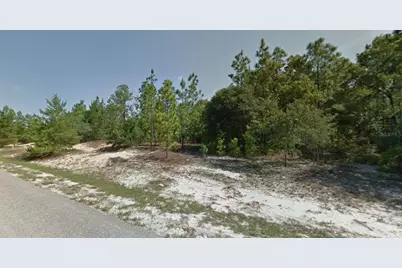 3499 W Webster Place, Citrus Springs, FL 34433 - Photo 1