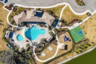 33608 Barberry Leaf Wy, Wesley Chapel, FL 33543 - Photo 6