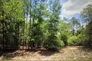 9819 N Pewter Ave, Dunnellon, FL 34434 - Photo 1