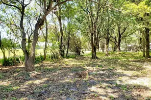 209 S Wiggins Rd, Plant City, FL 33566 - Photo 14
