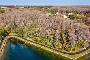 3114 Lake Pine Way, Tarpon Springs, FL 34688 - Photo 36
