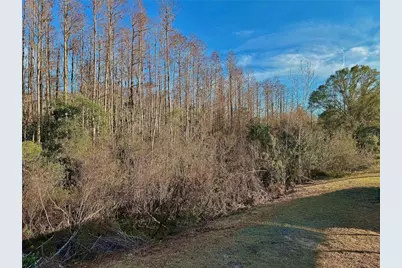 7428 Saint Johns Road, Land O Lakes, FL 34638 - Photo 20
