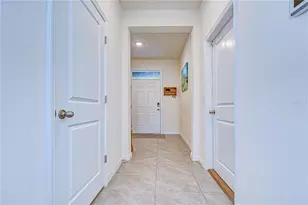 219 Mangrove Shade Cir, Apollo Beach, FL 33572 - Photo 4