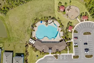 33064 Tulip Petal Ln, Wesley Chapel, FL 33545 - Photo 34