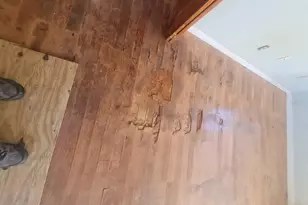 5241 67th St N, Saint Petersburg, FL 33709 - Photo 6