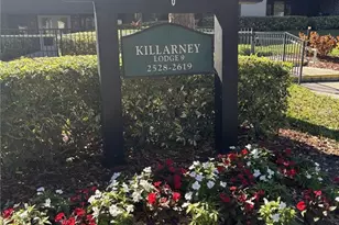 36750 US Hwy 19 N, Palm Harbor, FL 34684 - Photo 1