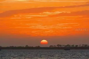 2566 Gary Cir, Dunedin, FL 34698 - Photo 54