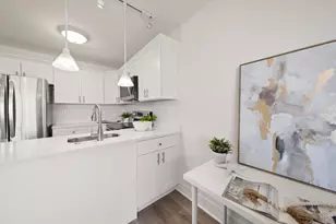 2566 Gary Cir, Dunedin, FL 34698 - Photo 18