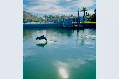 3784 42nd Avenue S, Saint Petersburg, FL 33711 - Photo 46