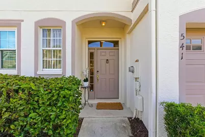 541 Black Lion Drive NE, Saint Petersburg, FL 33716 - Photo 34