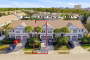 541 Black Lion Dr NE, Saint Petersburg, FL 33716 - Photo 44