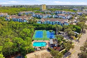 541 Black Lion Dr NE, Saint Petersburg, FL 33716 - Photo 42