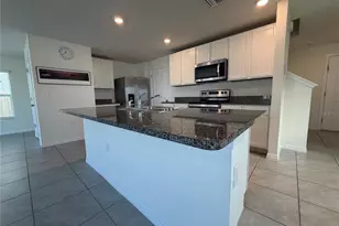 12072 Downy Birch Dr, Riverview, FL 33569 - Photo 4