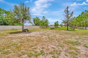 16638 Mooner Plank Cir, Wimauma, FL 33598 - Photo 66