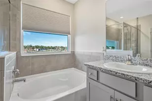 16638 Mooner Plank Cir, Wimauma, FL 33598 - Photo 30