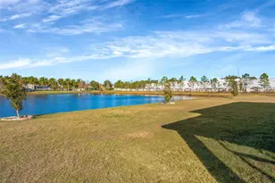 16638 Mooner Plank Cir, Wimauma, FL 33598 - Photo 32