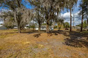 9331 Edison Rd, Lithia, FL 33547 - Photo 30