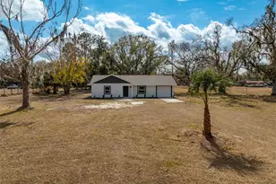 9331 Edison Rd, Lithia, FL 33547 - Photo 4