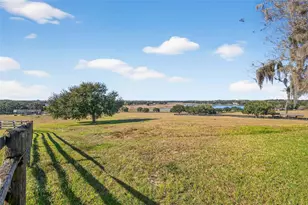 36649 Covington Rd, Dade City, FL 33525 - Photo 50