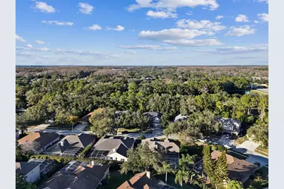 4320 Auston Way, Palm Harbor, FL 34685 - Photo 90