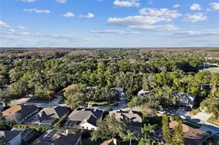 4320 Auston Way, Palm Harbor, FL 34685 - Photo 90