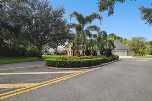 4320 Auston Way, Palm Harbor, FL 34685 - Photo 100