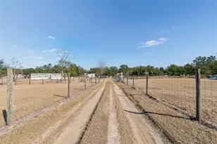 8736 23rd St, Zephyrhills, FL 33540 - Photo 58