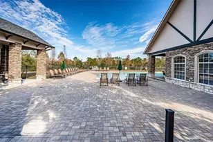 3033 Stonegate Falls Dr, Land O Lakes, FL 34638 - Photo 74