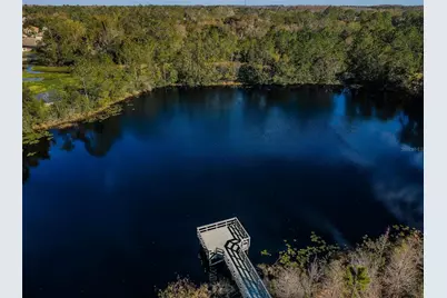 3033 Stonegate Falls Drive, Land O Lakes, FL 34638 - Photo 84