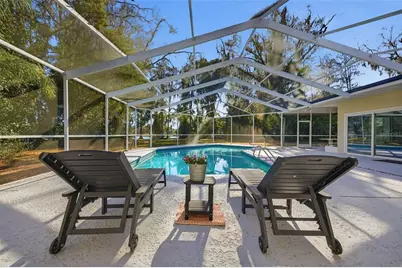 9214 Rhea Drive, Odessa, FL 33556 - Photo 4