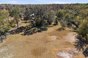 9214 Rhea Dr, Odessa, FL 33556 - Photo 66