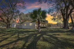 33137 Cercelia Rd, Dade City, FL 33523 - Photo 2