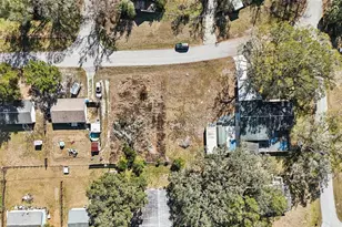 33137 Cercelia Rd, Dade City, FL 33523 - Photo 38