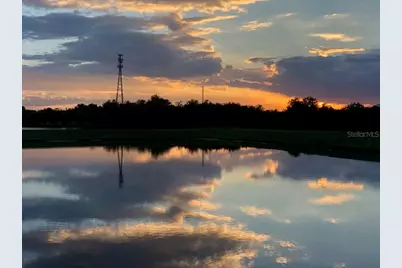 12337 Ballentrae Forest Drive, Riverview, FL 33579 - Photo 28