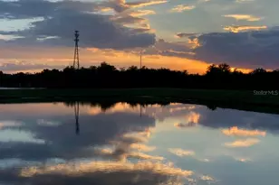 12337 Ballentrae Forest Dr, Riverview, FL 33579 - Photo 28