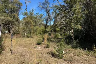 6704 Ike Smith Rd, Plant City, FL 33565 - Photo 20