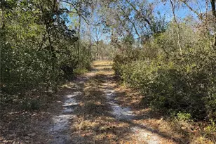 6704 Ike Smith Rd, Plant City, FL 33565 - Photo 16