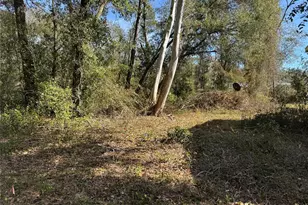 6704 Ike Smith Rd, Plant City, FL 33565 - Photo 18