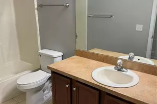 15776 Fishhawk Falls Dr, Lithia, FL 33547 - Photo 10