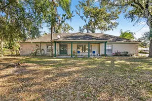 619 Limona Rd, Brandon, FL 33510 - Photo 1