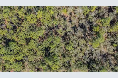 5504 Sun Up Road, Land O Lakes, FL 34638 - Photo 10