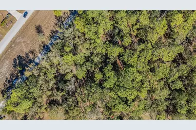 5504 Sun Up Road, Land O Lakes, FL 34638 - Photo 10