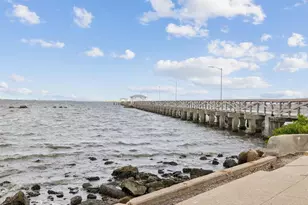 345 Bayshore Blvd, Tampa, FL 33606 - Photo 46