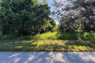 2040 N Morningside Rd, Avon Park, FL 33825 - Photo 1