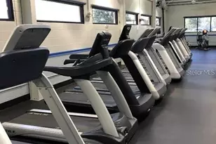 1853 Wolf Laurel Dr, Sun City Center, FL 33573 - Photo 74